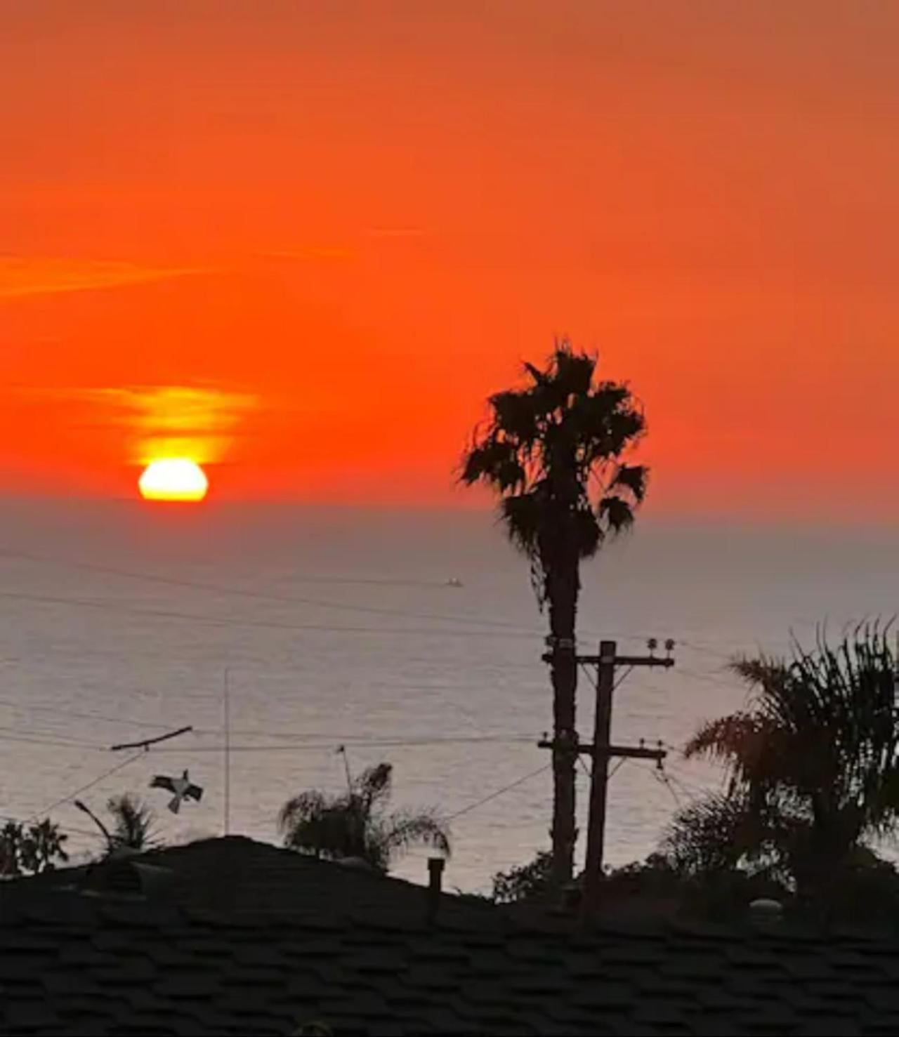Contemporary Ocean Sunset Views With Firepit Pt Loma Close To Plnu San Diego Bagian luar foto